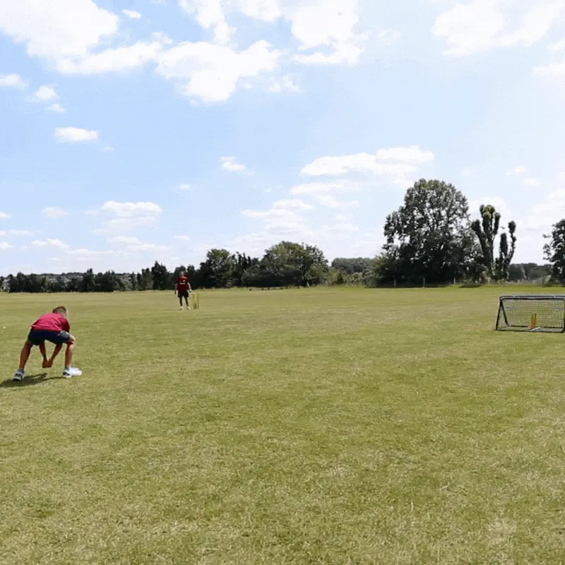 Crazy Catch - Professional 2.0