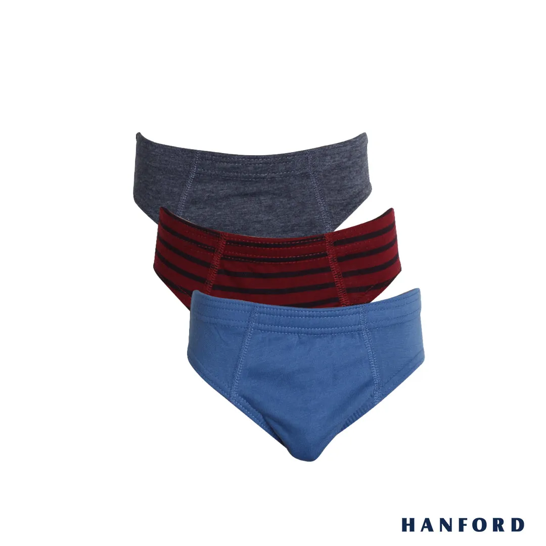 Hanford Kids/Teens Regular Cotton Briefs Inside Garter Arken - 2 Plain Color/1 Stripe (3in1 Pack)